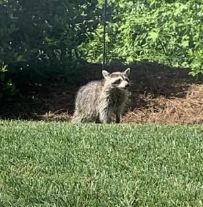 Meet your Posher, Reba